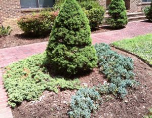 Gallery 15 - Fernando Landscaping LLC