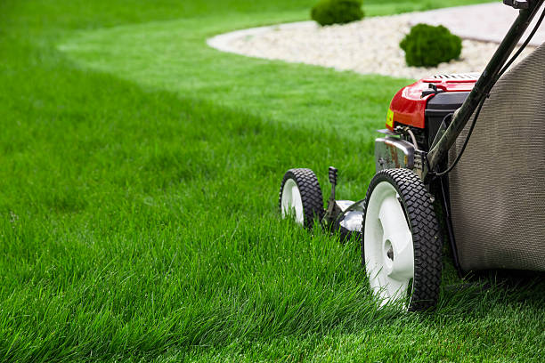 lawnmowing2